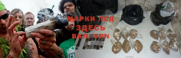 молекула духа Баксан