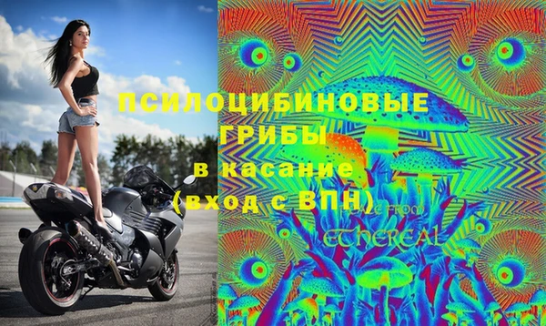 apvp Балабаново