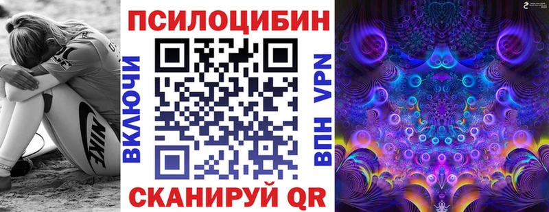 Галлюциногенные грибы Psilocybe  где купить наркоту  Вольск 
